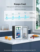 AstroAI Mini Fridge 2.0 Gen, 6 Liter/8 Cans Makeup Skincare Fridge (Dark Black)