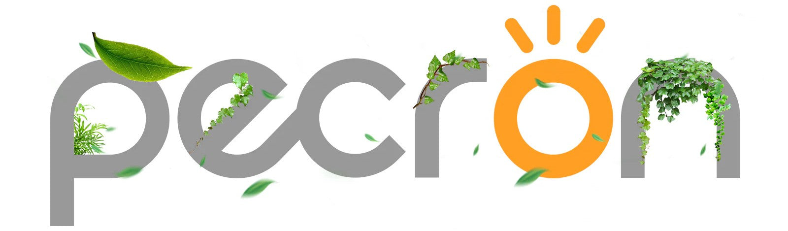 Pecron Portable Power Stations Australia