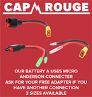 48V 15Ah / 720Wh Downtube Samsung eBike Battery CPPOLF48-15 - Cap Rouge